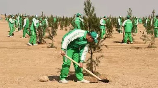 A nationwide gardening campaign was held in Turkmenistan with the participation of the President