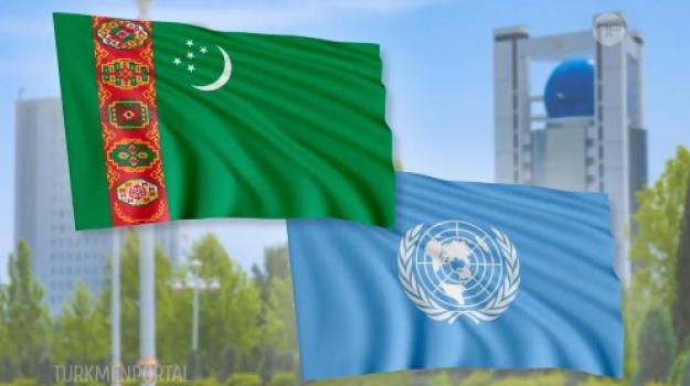 UNIDO confirmed its interest in strengthening cooperation with Turkmenistan