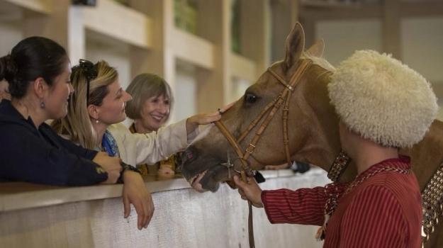 US Deputy Secretary Of State Begins Turkmenistan Visit With Horses